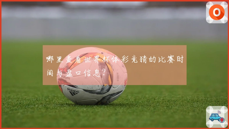 哪里查看世界杯体彩竞猜的比赛时间与盘口信息？