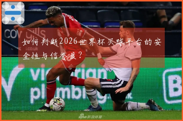 如何判断2026世界杯买球平台的安全性与信誉度？