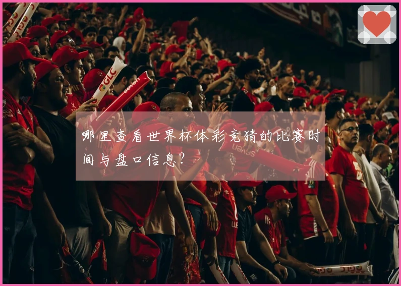 哪里查看世界杯体彩竞猜的比赛时间与盘口信息？